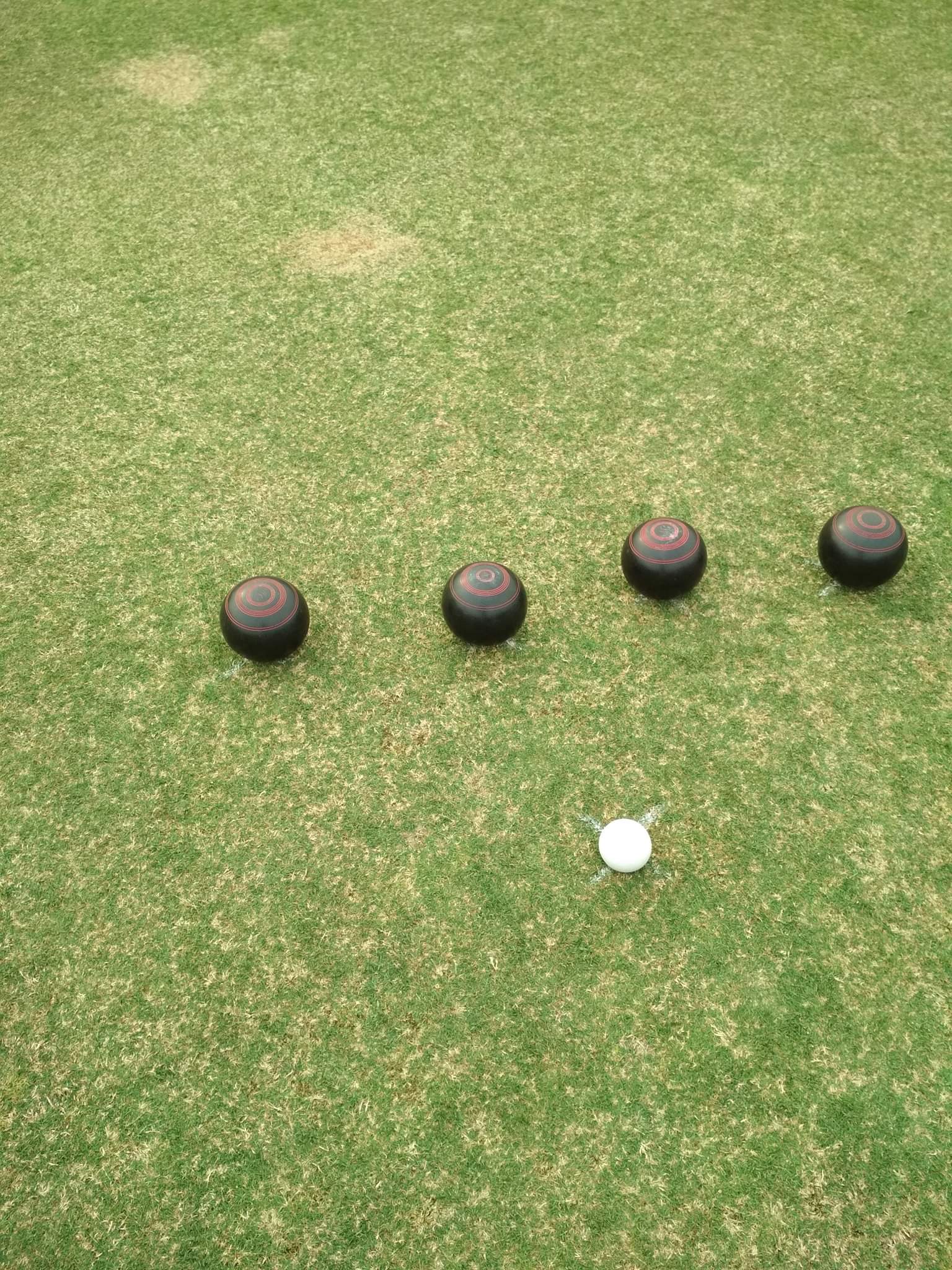 42492165_1011165249085128_8554203487754256384_n